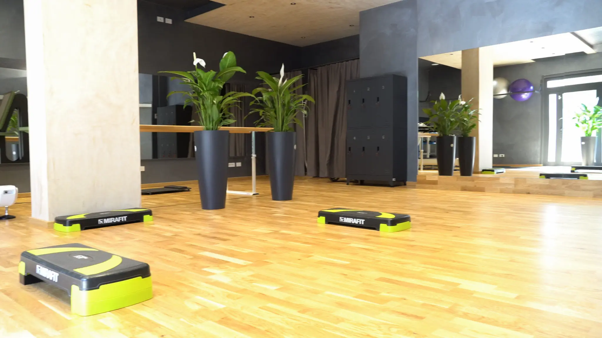 Palestra Fisioterapia